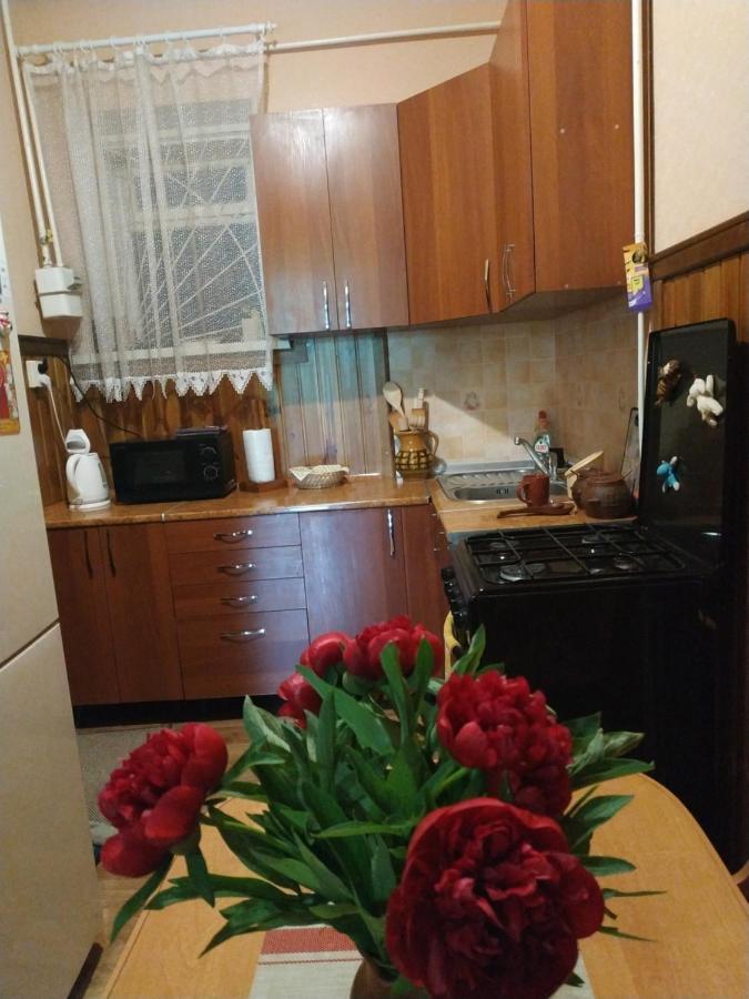 Apartment In The Center Of Old Town Kamjanets-Podilsky Buitenkant foto