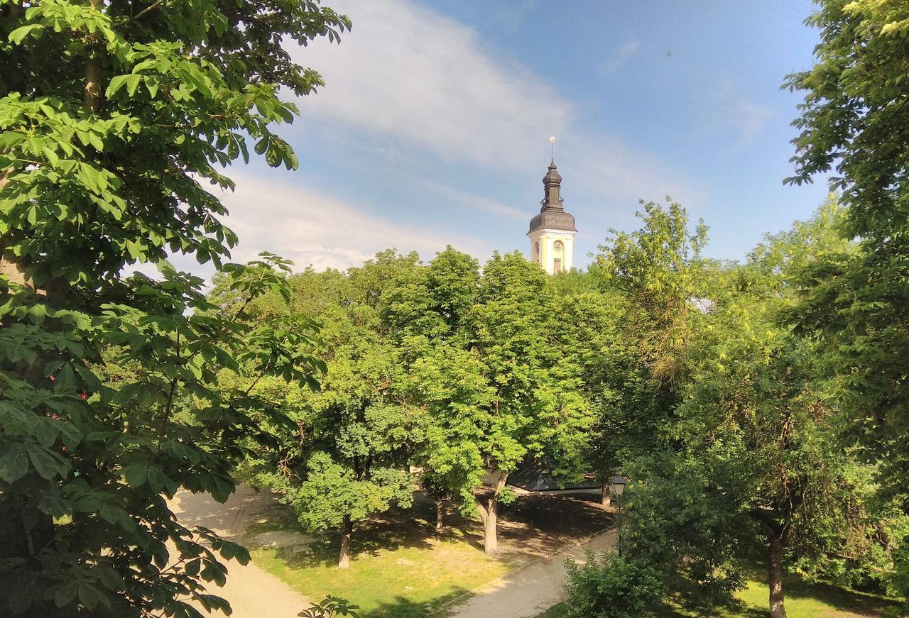 Apartment In The Center Of Old Town Kamjanets-Podilsky Buitenkant foto